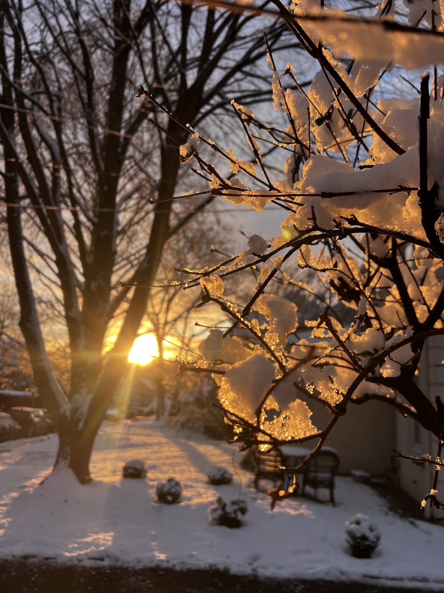 What Can I Do With My Landscape in Winter? Designing a Landscape That Looks GREAT Year Round — Union Landscape Design, Philadelphia Main Line