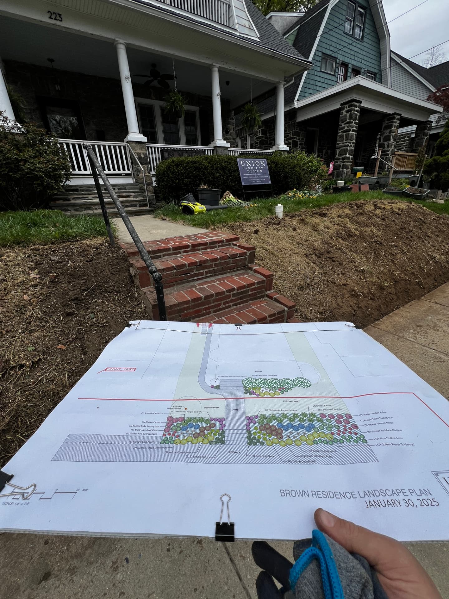 Planting plan held in front of the cleared Essex Avenue border