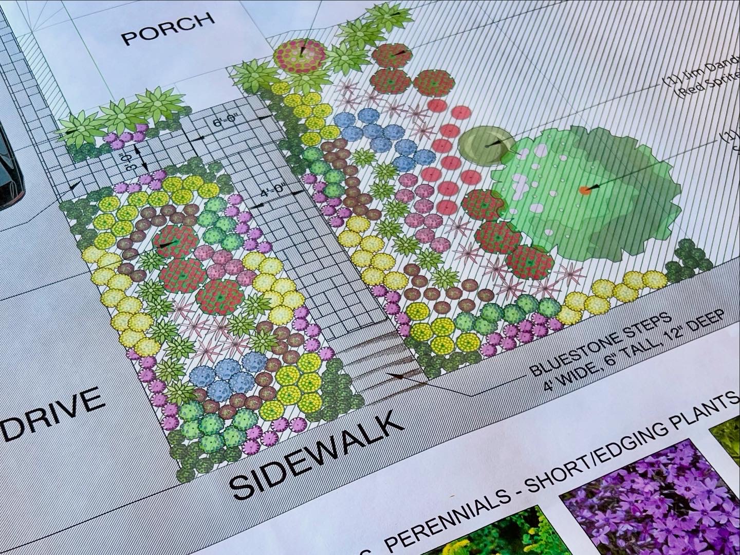 Colorful front landscape design plan showing porch, drive, sidewalk, and planting layout for the Bryn Mawr townhome