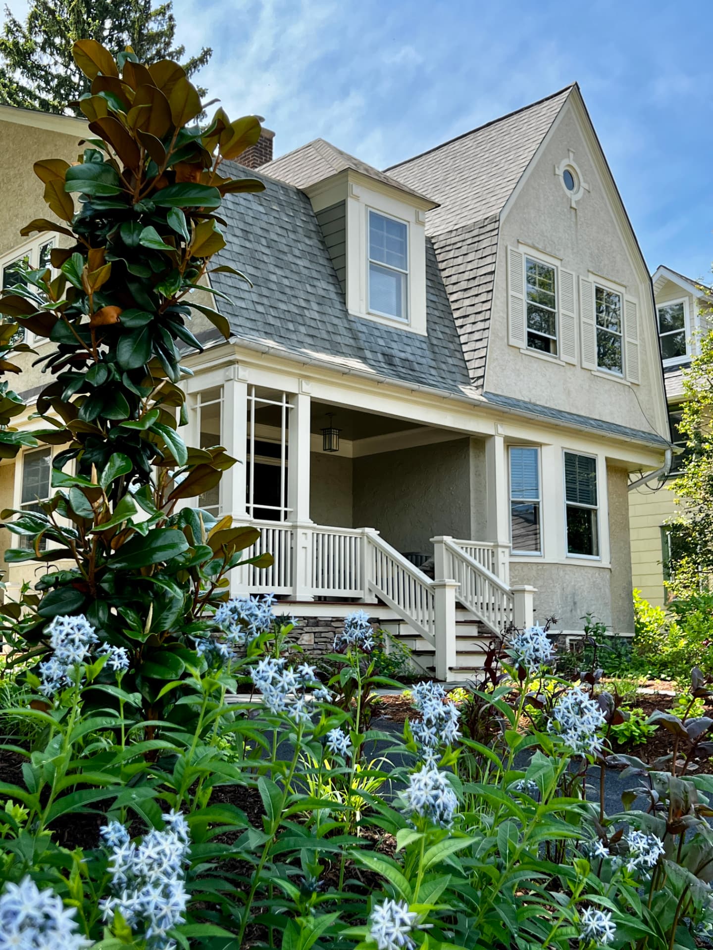 Bryn Mawr townhome front entry with blue star amsonia and a young magnolia tree