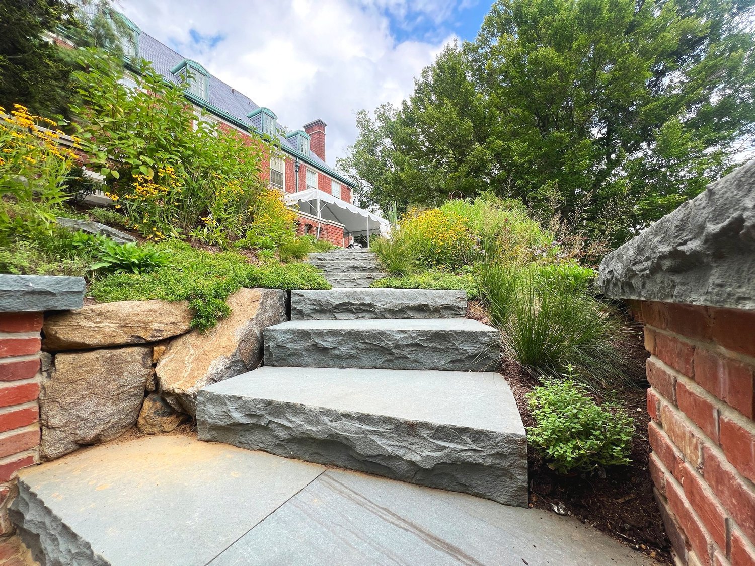 Designing with Native Plants: Creating Elegant Landscapes along the Main Line — Union Landscape Design, Philadelphia Main Line