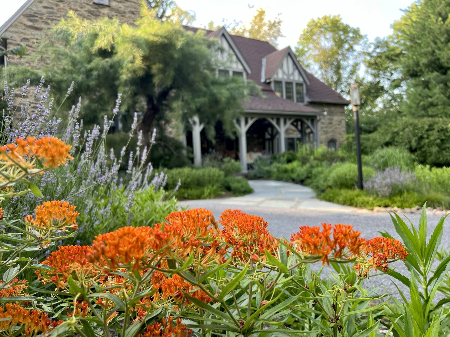 Take a Fresh Look at Your Landscape This Summer — Union Landscape Design, Philadelphia Main Line
