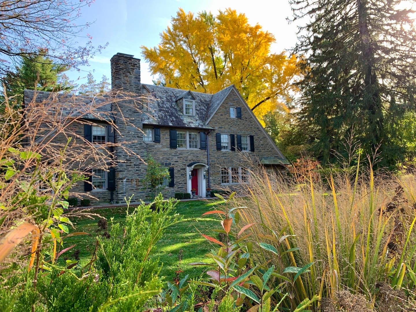 Layered evergreen, grass, and perennial border framing the front of a Sabine Avenue residence