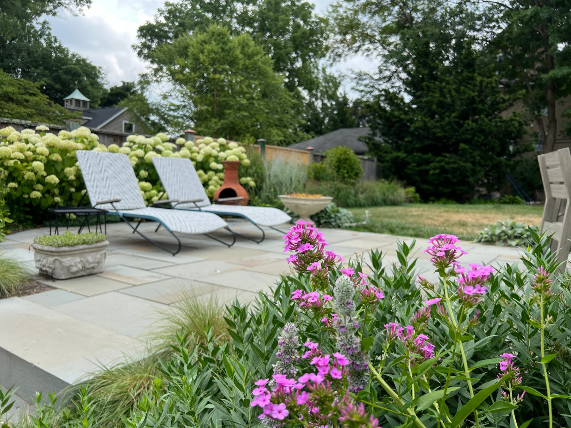 Pink phlox in the foreground with a bluestone patio and lounge chairs beyond