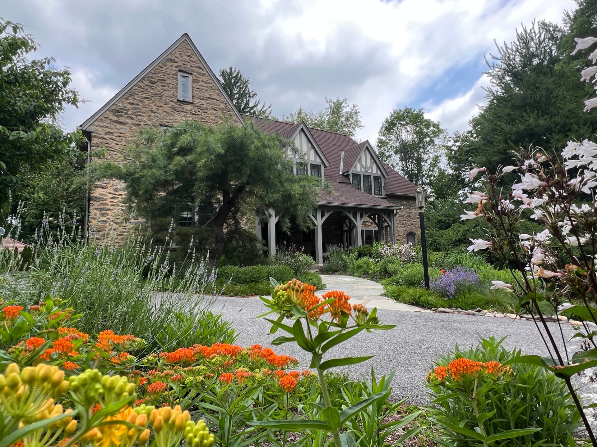 Gravel approach to the cottage surrounded by orange flowers, white blooms, and grasses