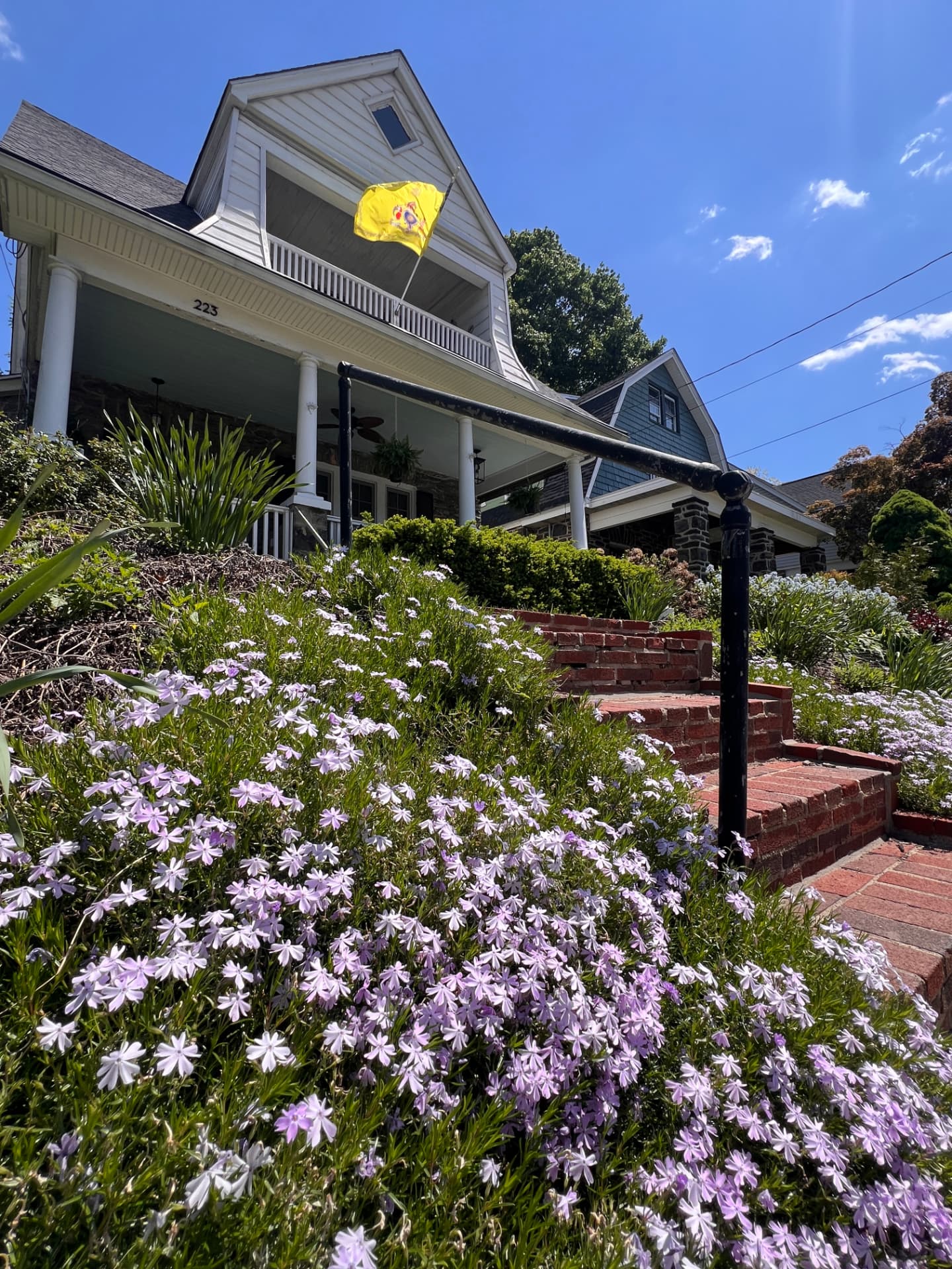 Pale creeping phlox spilling around the brick steps in spring