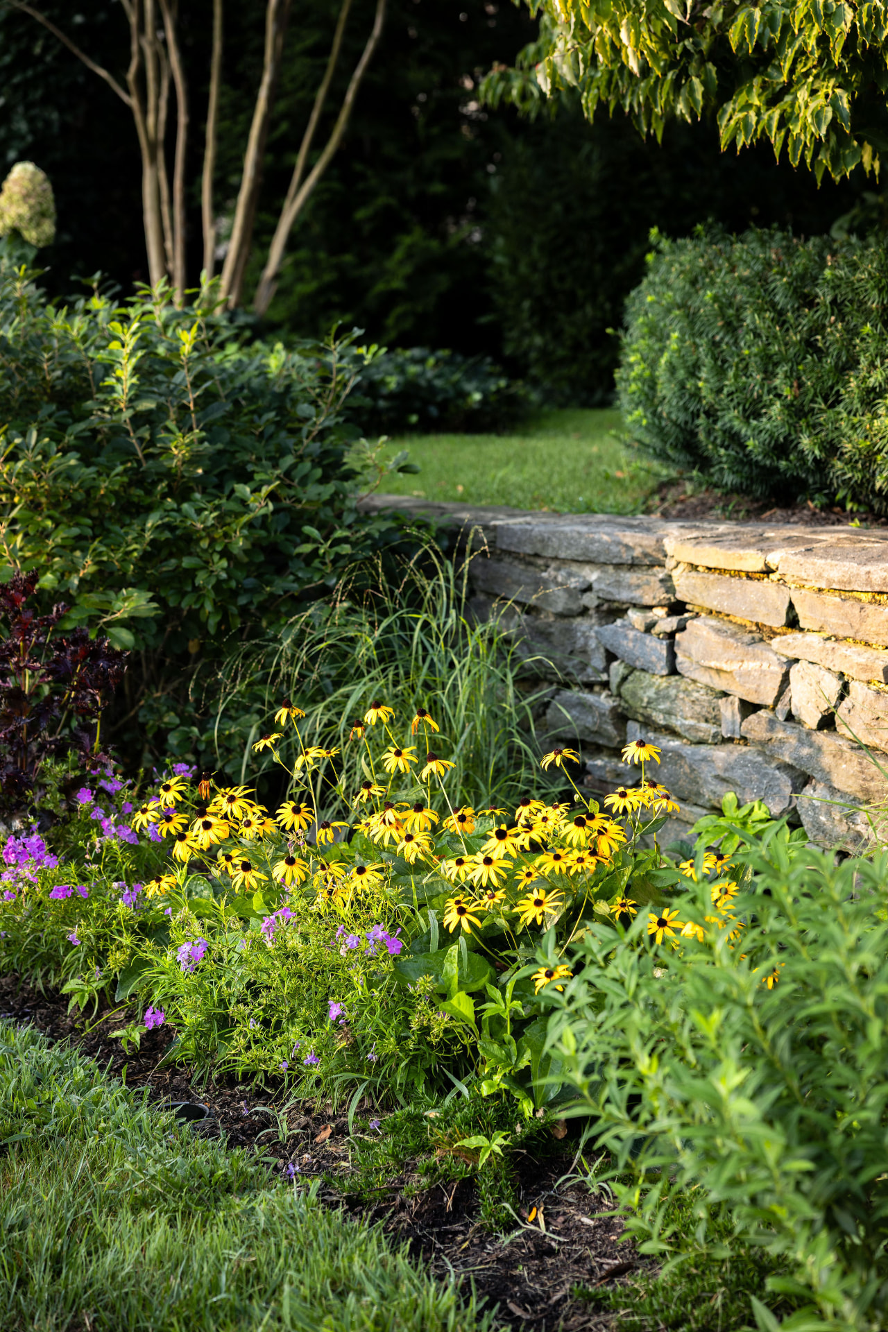 Black-eyed susans and purple flowers beside a dry-stacked stone garden wall