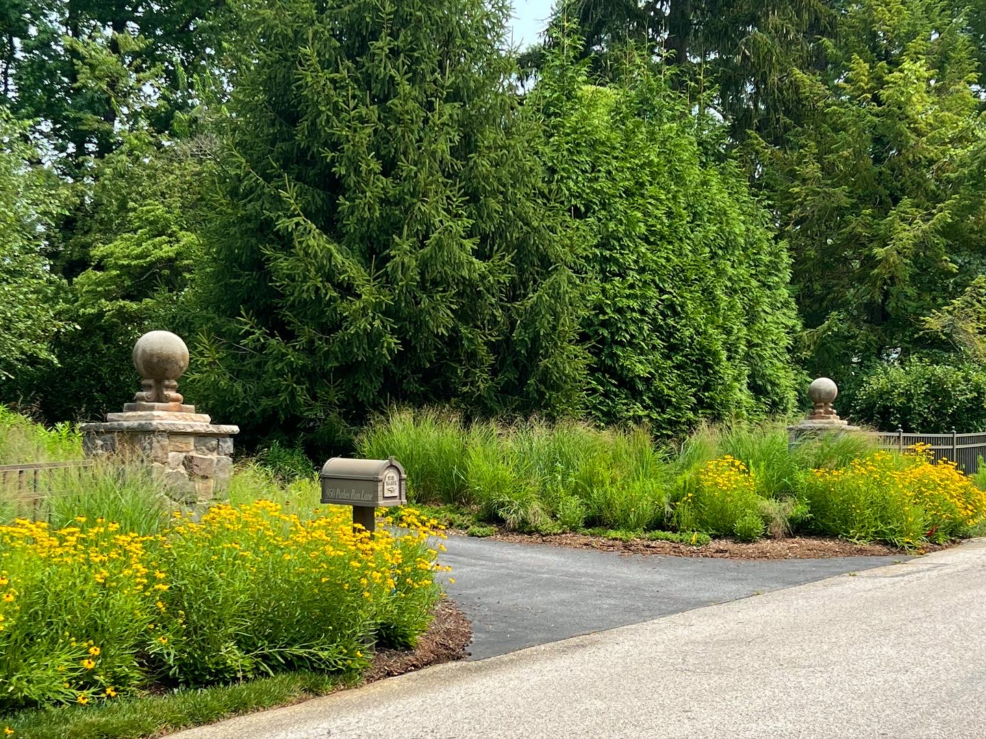 Wide driveway entrance with stone gate pillars, mailbox, ornamental grasses, and yellow flowers