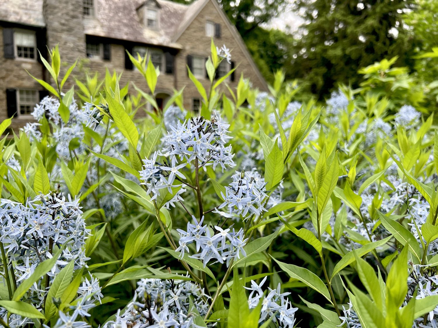 Spring layers — Union Landscape Design, Philadelphia Main Line