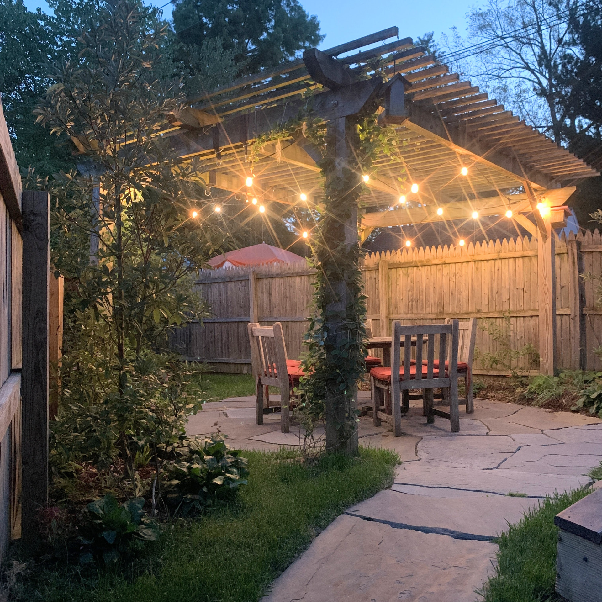 Pergola lit by string lights with a wooden dining set on the bluestone patio