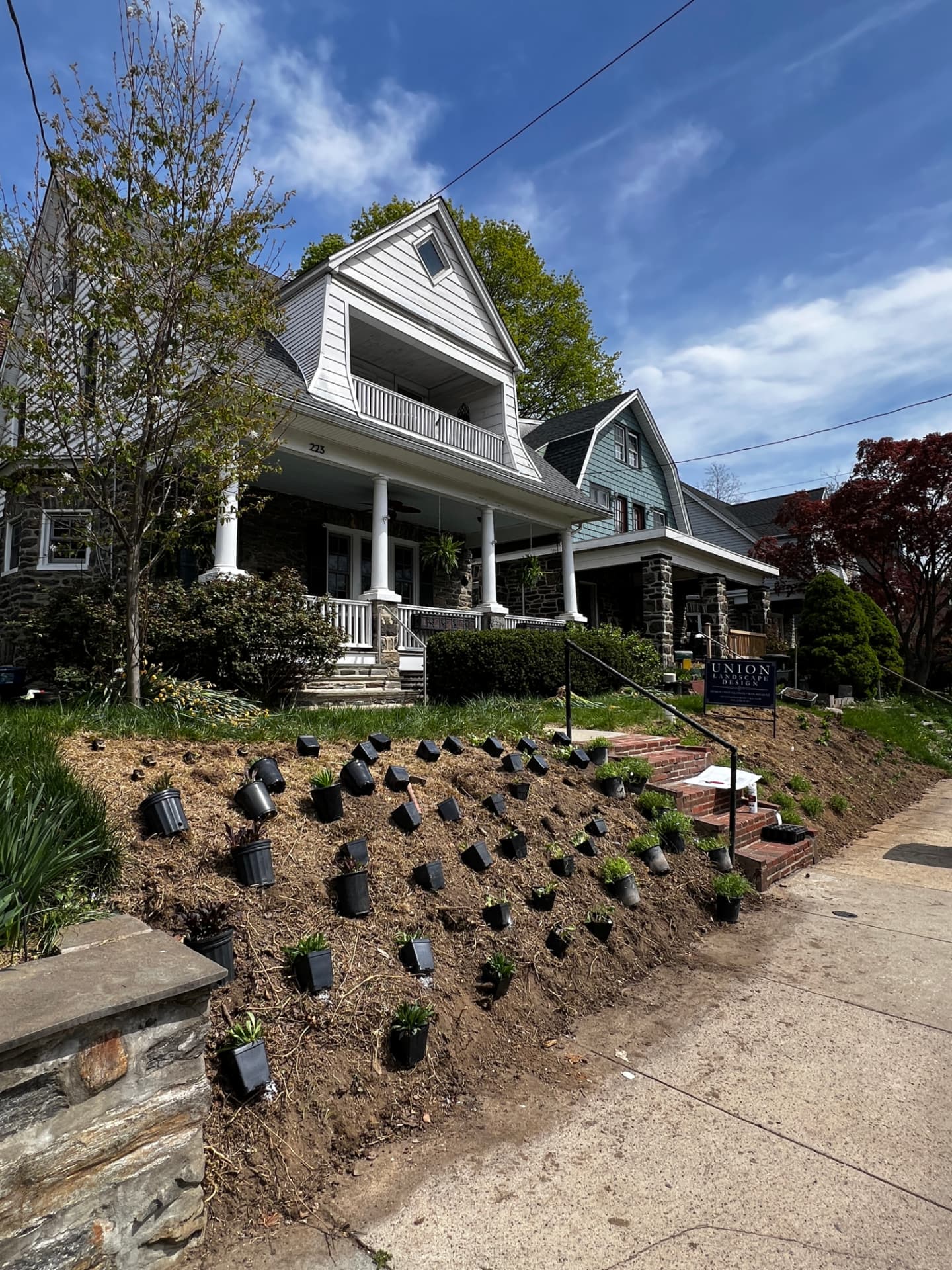 Full planting layout across the Essex Avenue border on installation day