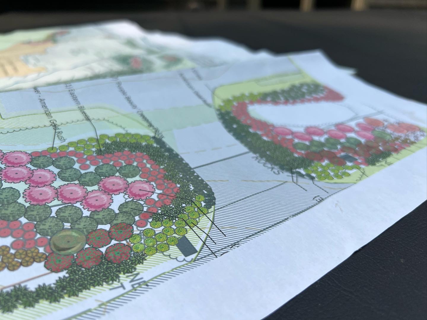 Colorful planting plan for the Villanova entrance garden