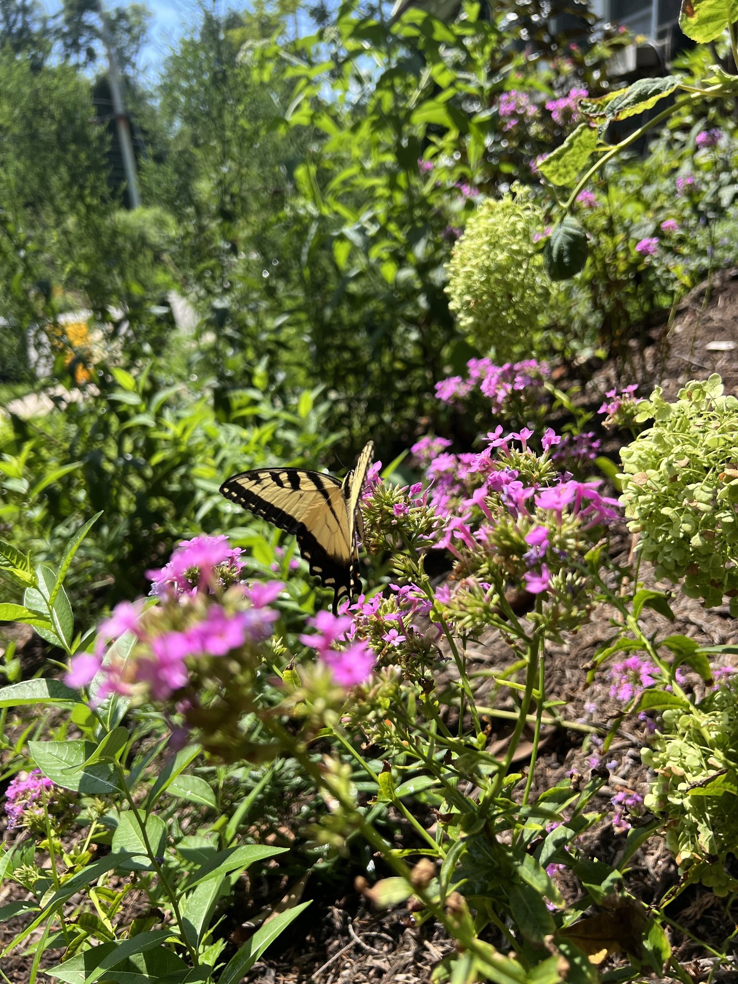 Summer Inspiration Starts OutsideBring That Feeling Home This Fall — Union Landscape Design, Philadelphia Main Line