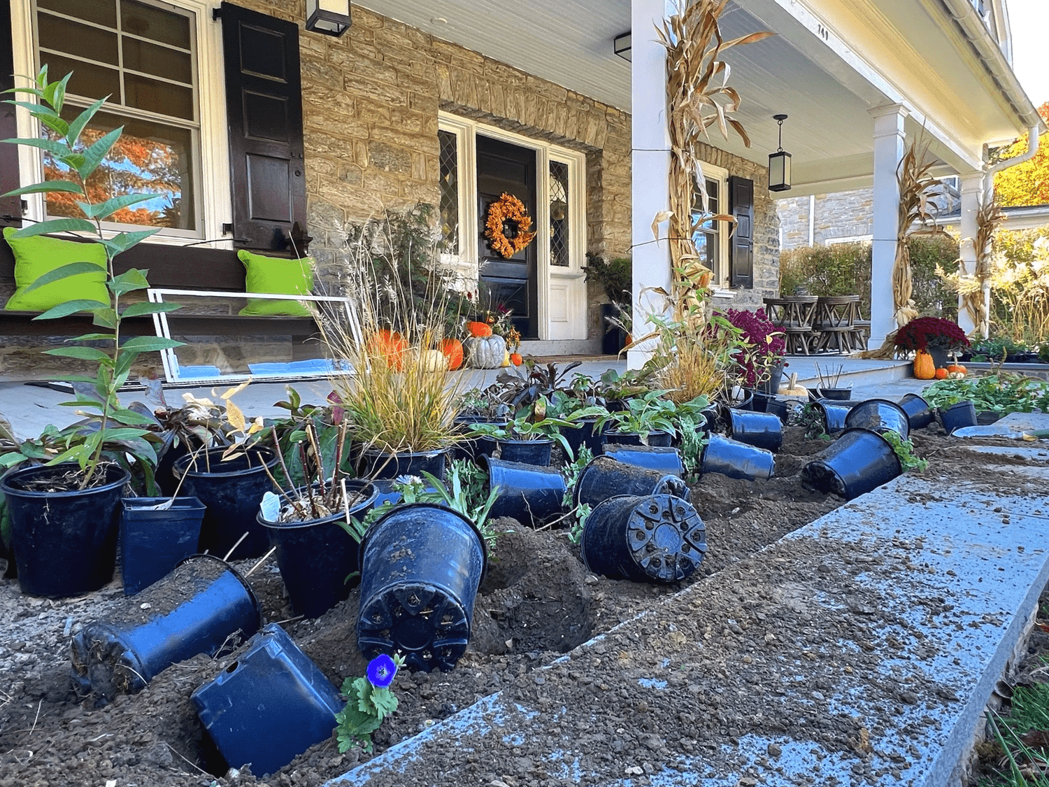 Fall is for Landscape Designing and Planting — Union Landscape Design, Philadelphia Main Line
