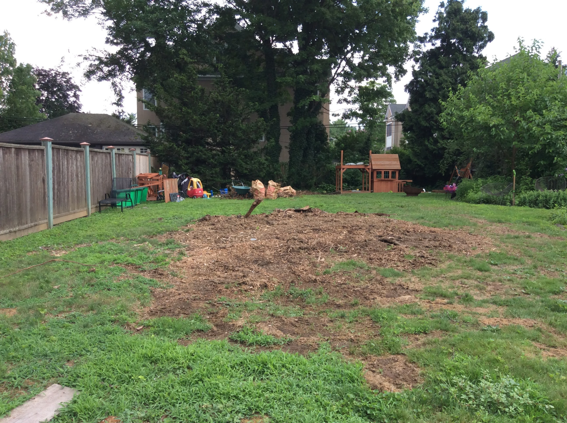 Before: rough grass and an unused rear yard before the Wayne backyard transformation