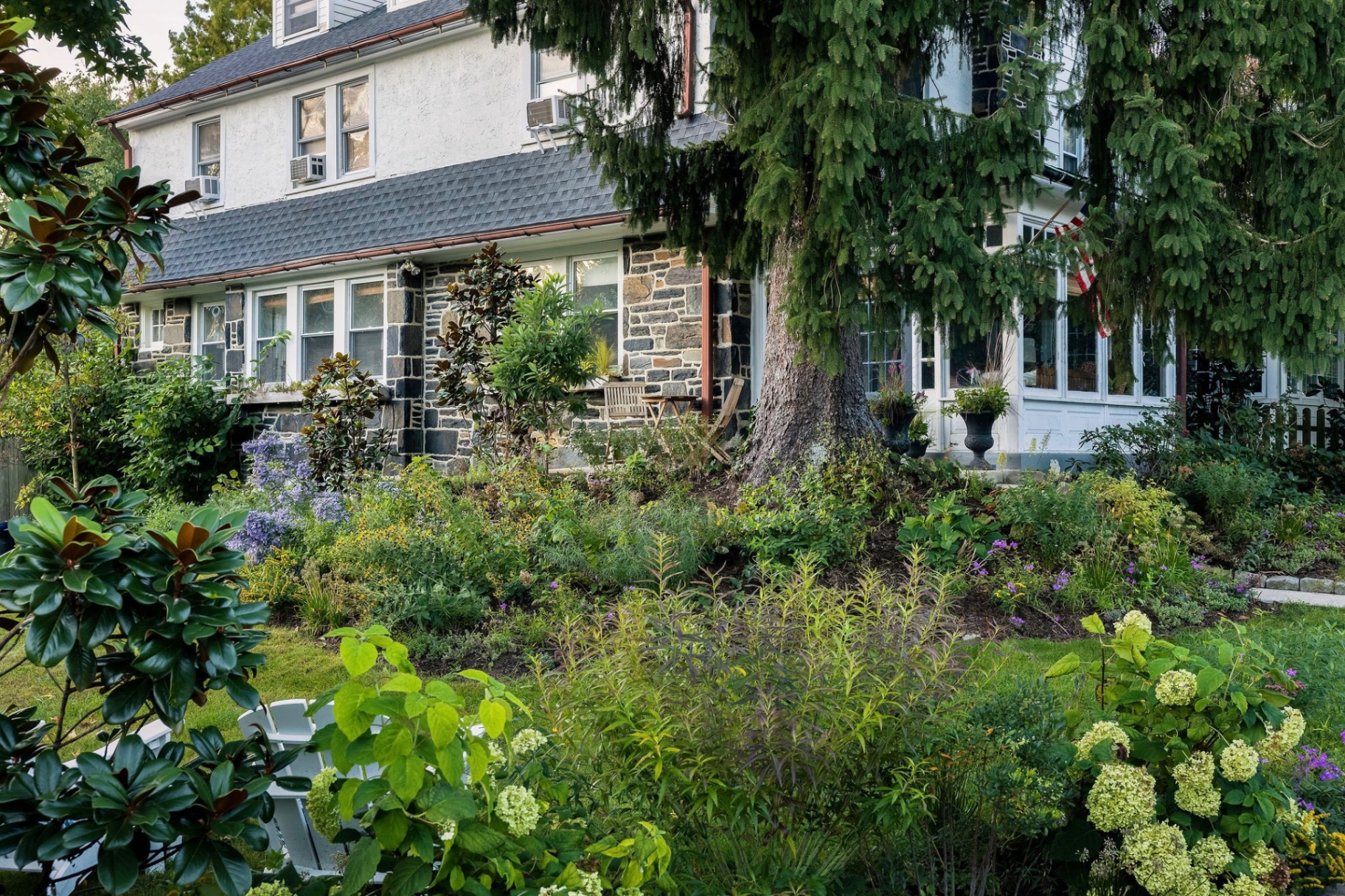 Layered native garden beneath a towering spruce at a stone Merion Station home