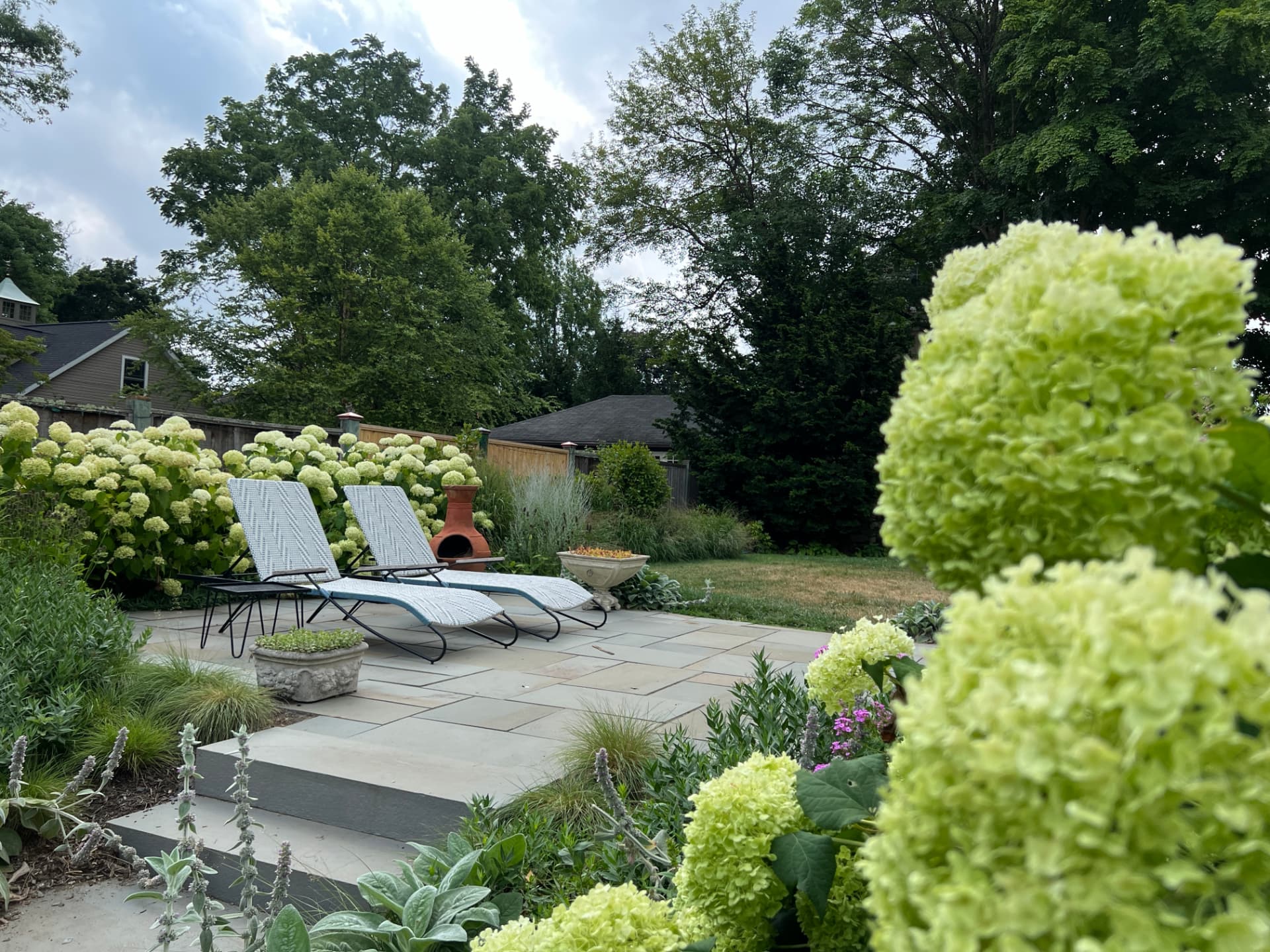 After: the finished bluestone patio and planting from the same perspective