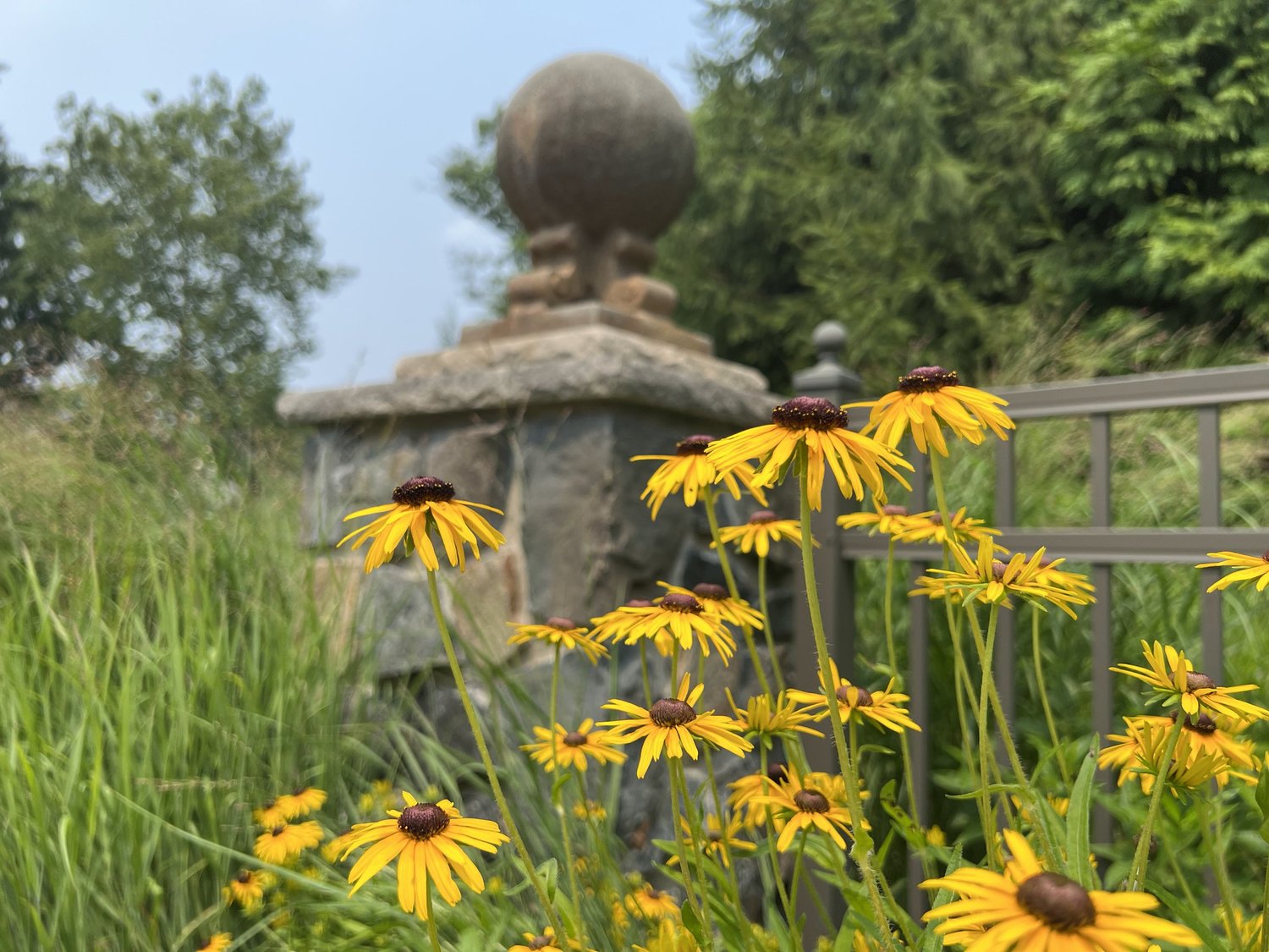 Native Plant Landscape Design on the Main Line: Beautiful, Structured, and Designed with Intention — Union Landscape Design, Philadelphia Main Line