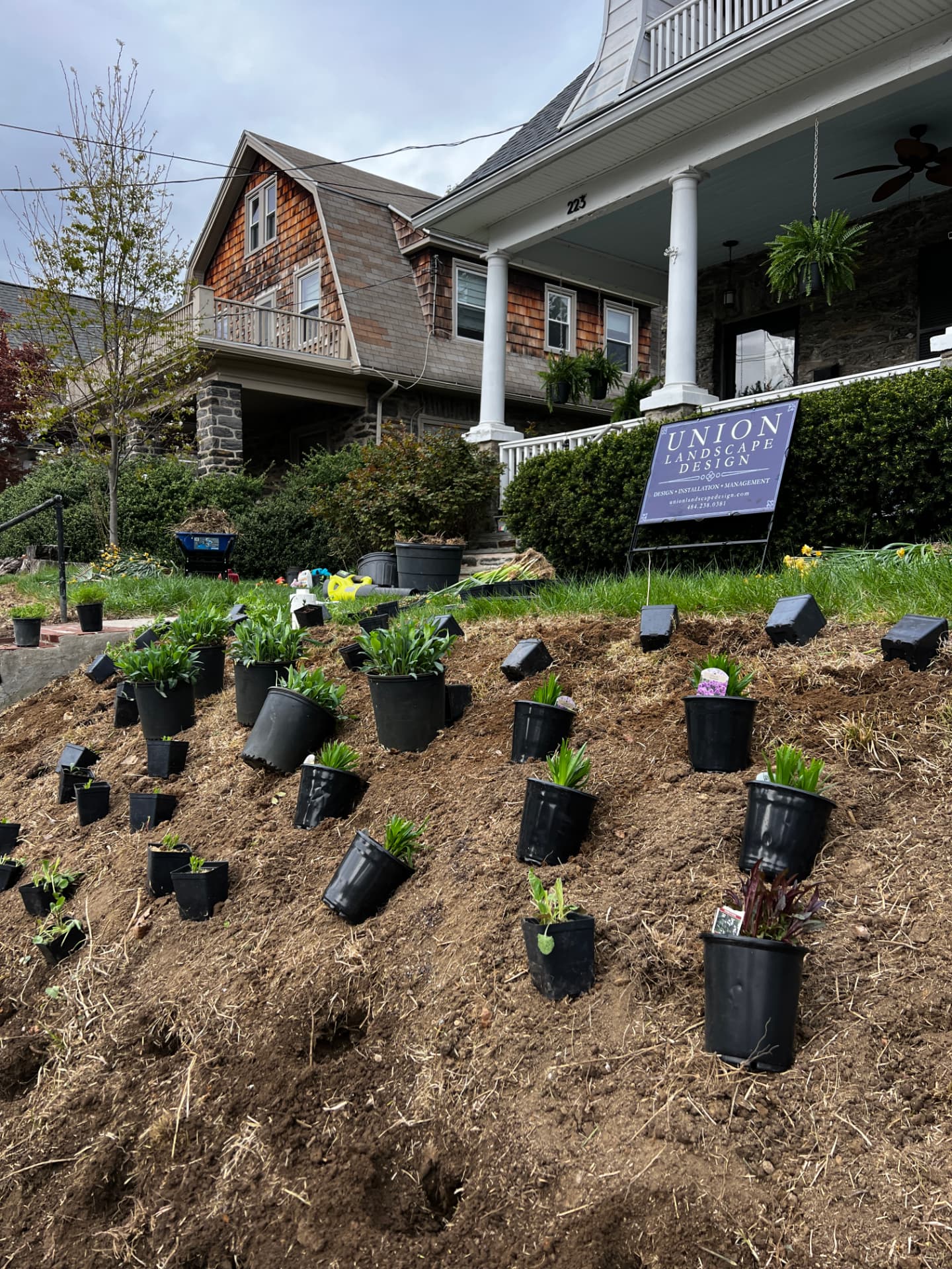 Perennials arranged in their pots across the prepared front slope before planting
