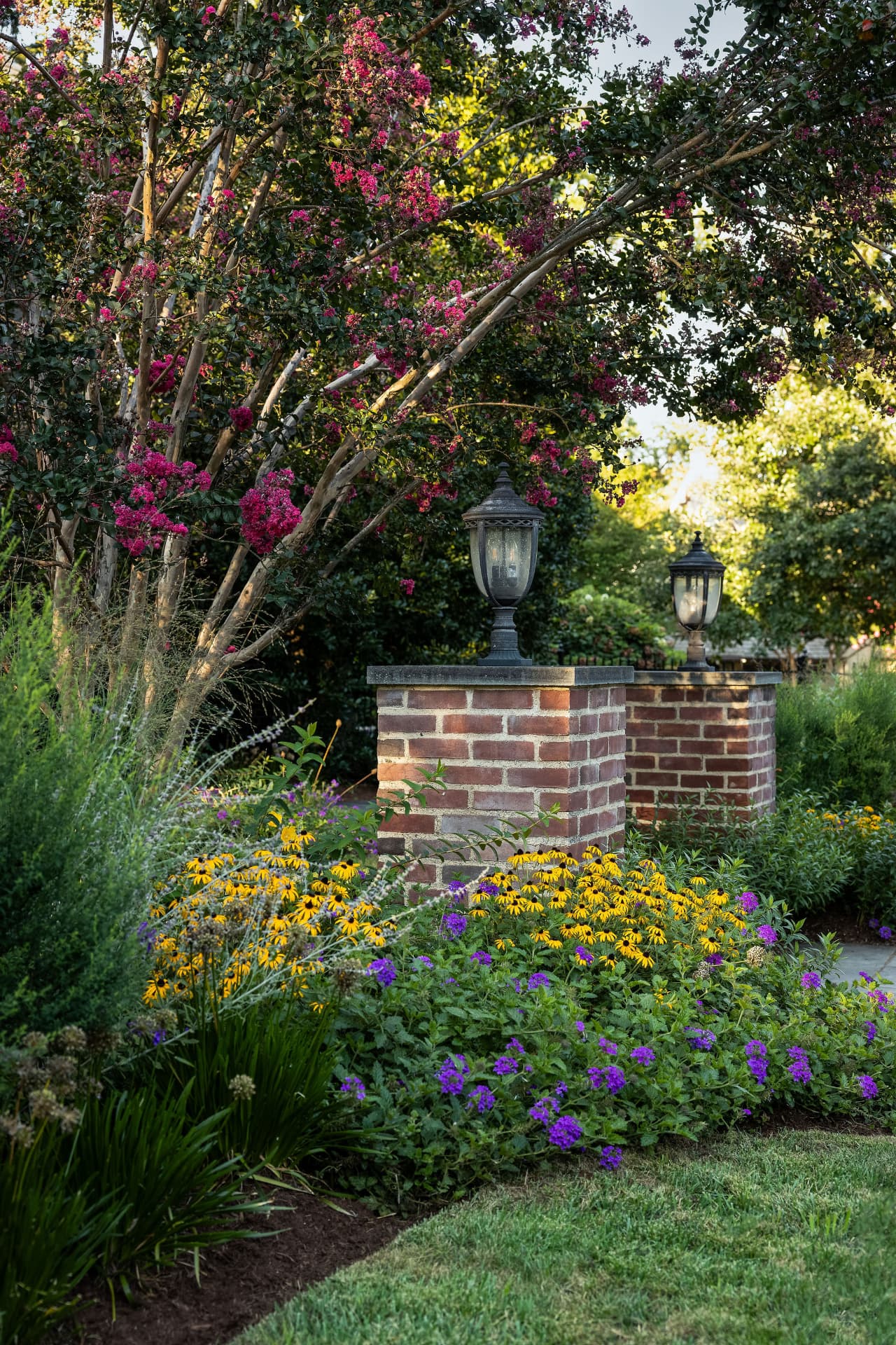 Flowering crape myrtle over brick pillars and lanterns with yellow and purple perennials