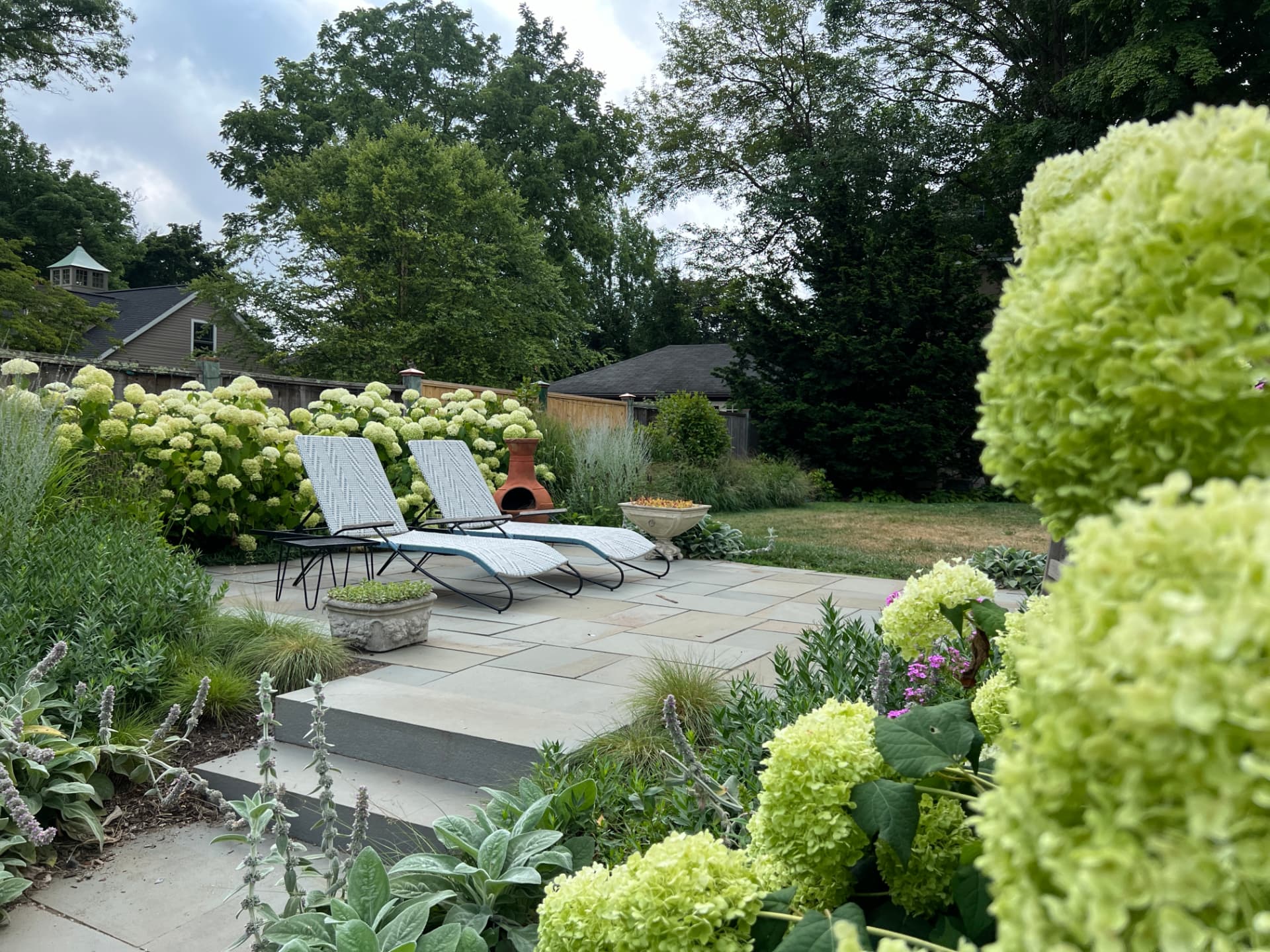 Annabelle hydrangeas surrounding a bluestone patio with lounge chairs in Wayne