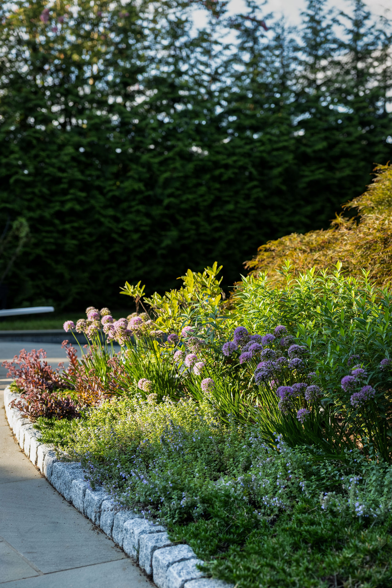 Alliums and layered perennials along a granite-edged garden path