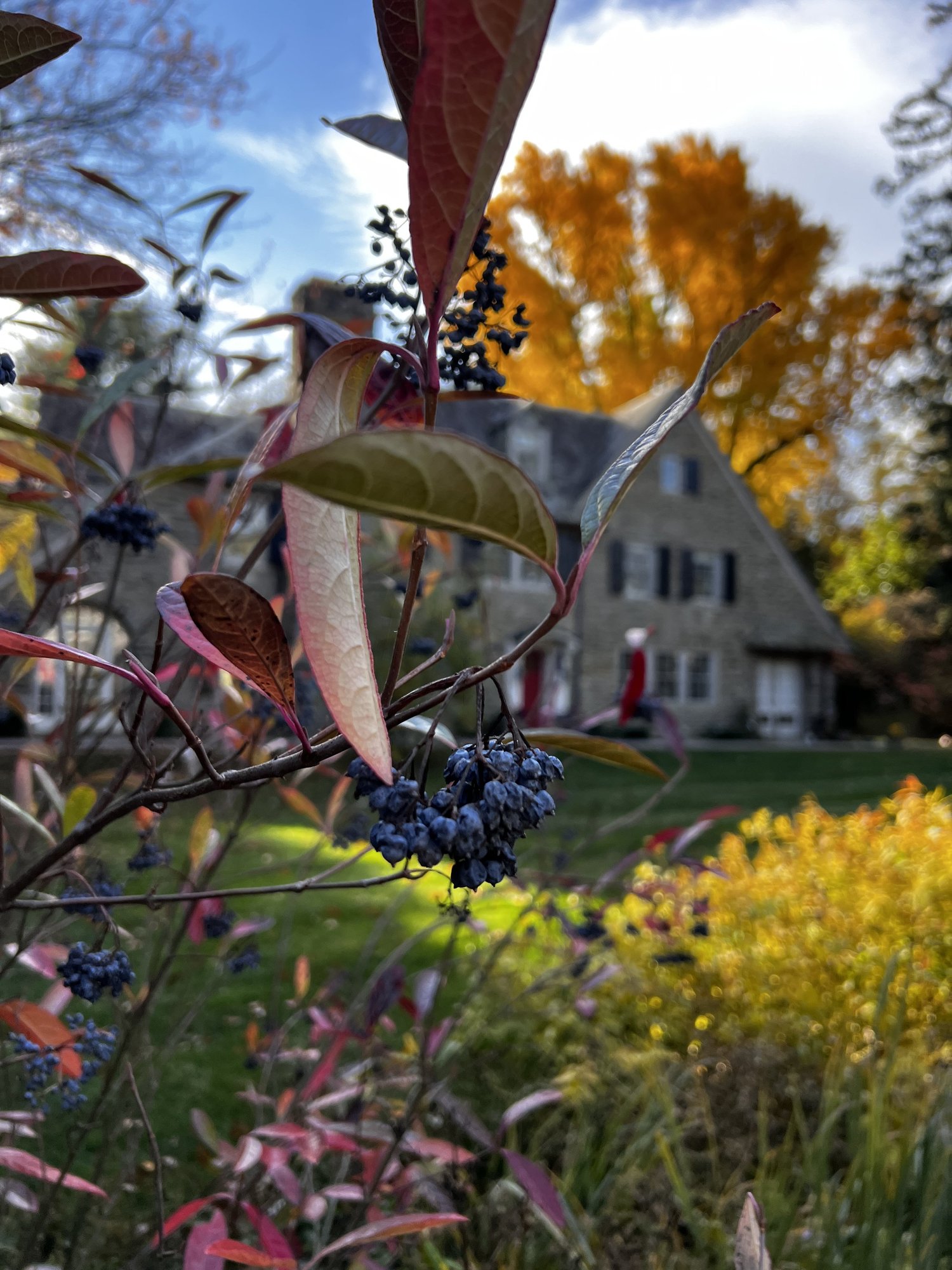 How Much Will My Landscape Design and Installation Cost? 5 Questions to Ask Before Starting a Landscape Design and Installation Project on the Main Line — Union Landscape Design, Philadelphia Main Line