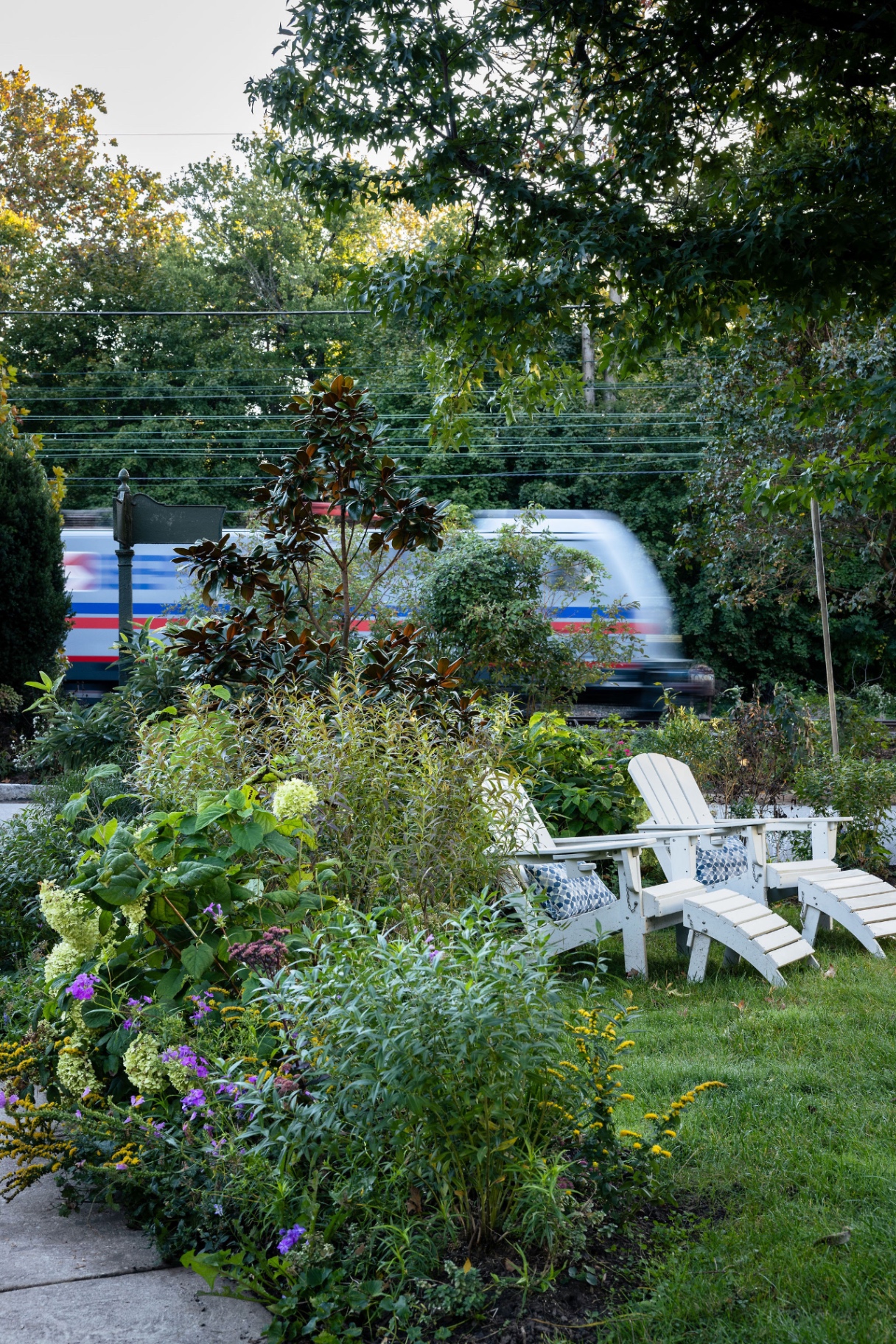 Adirondack chairs beside a lush native border with a passing train in the background