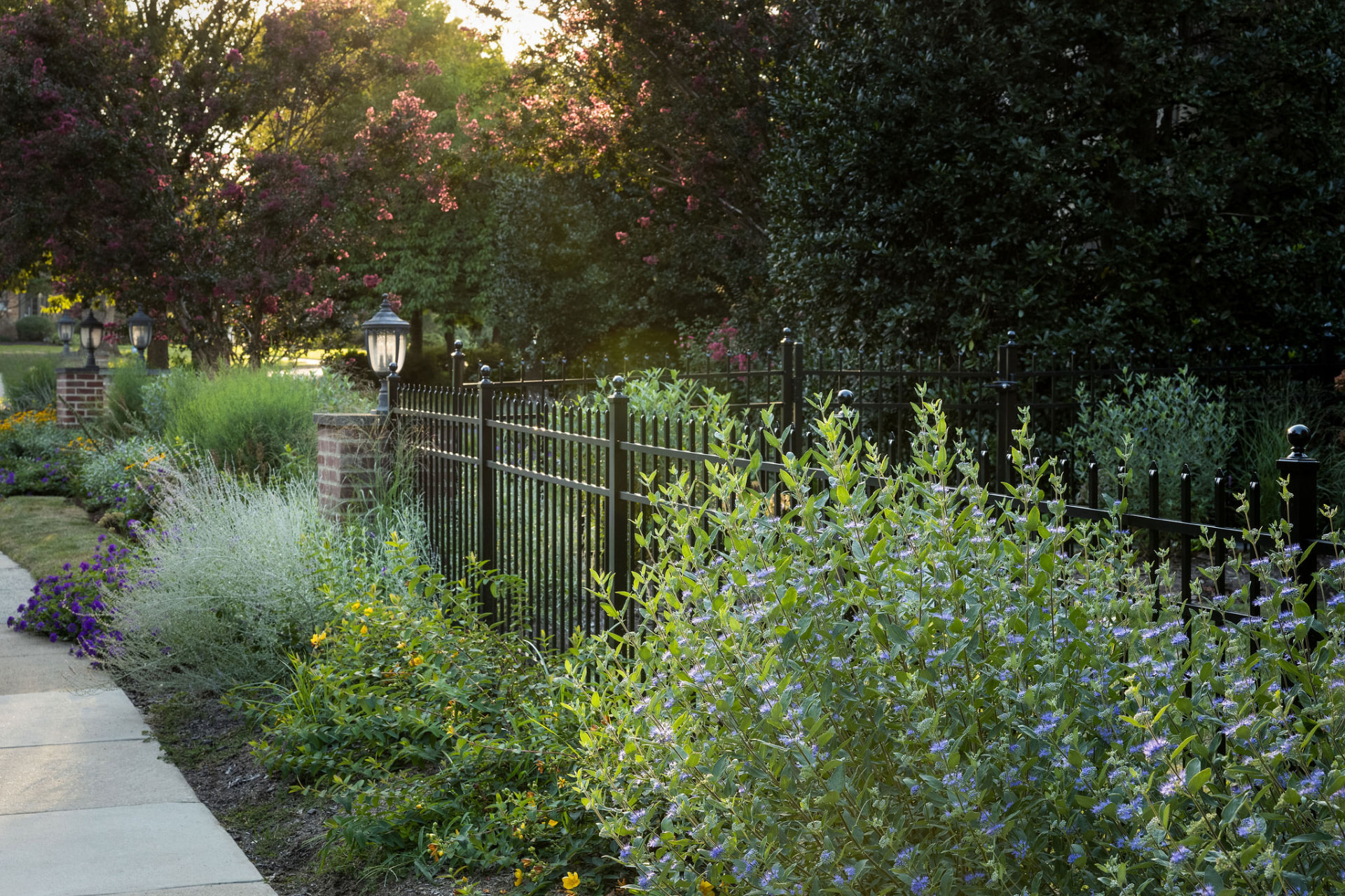 Long garden border beside a black metal fence filled with blue flowers, grasses, and lanterns