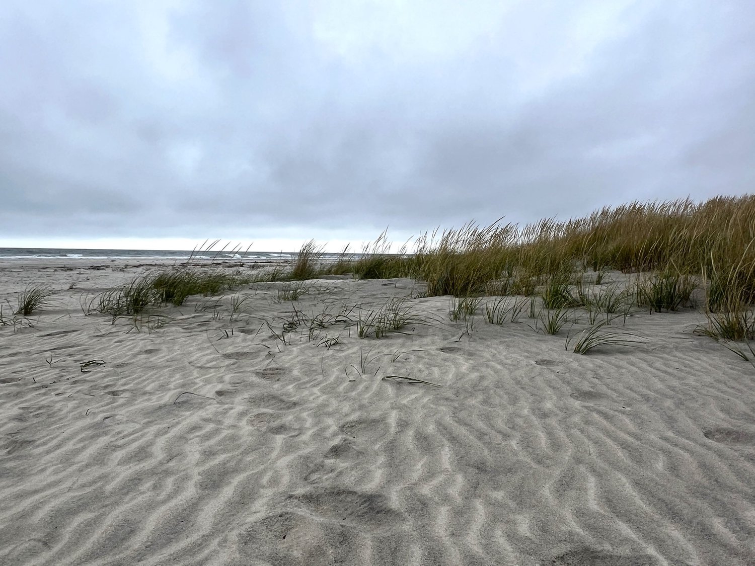 What New Jersey Sand Dunes Can Teach Us About Resilient Landscape Design — Union Landscape Design, Philadelphia Main Line