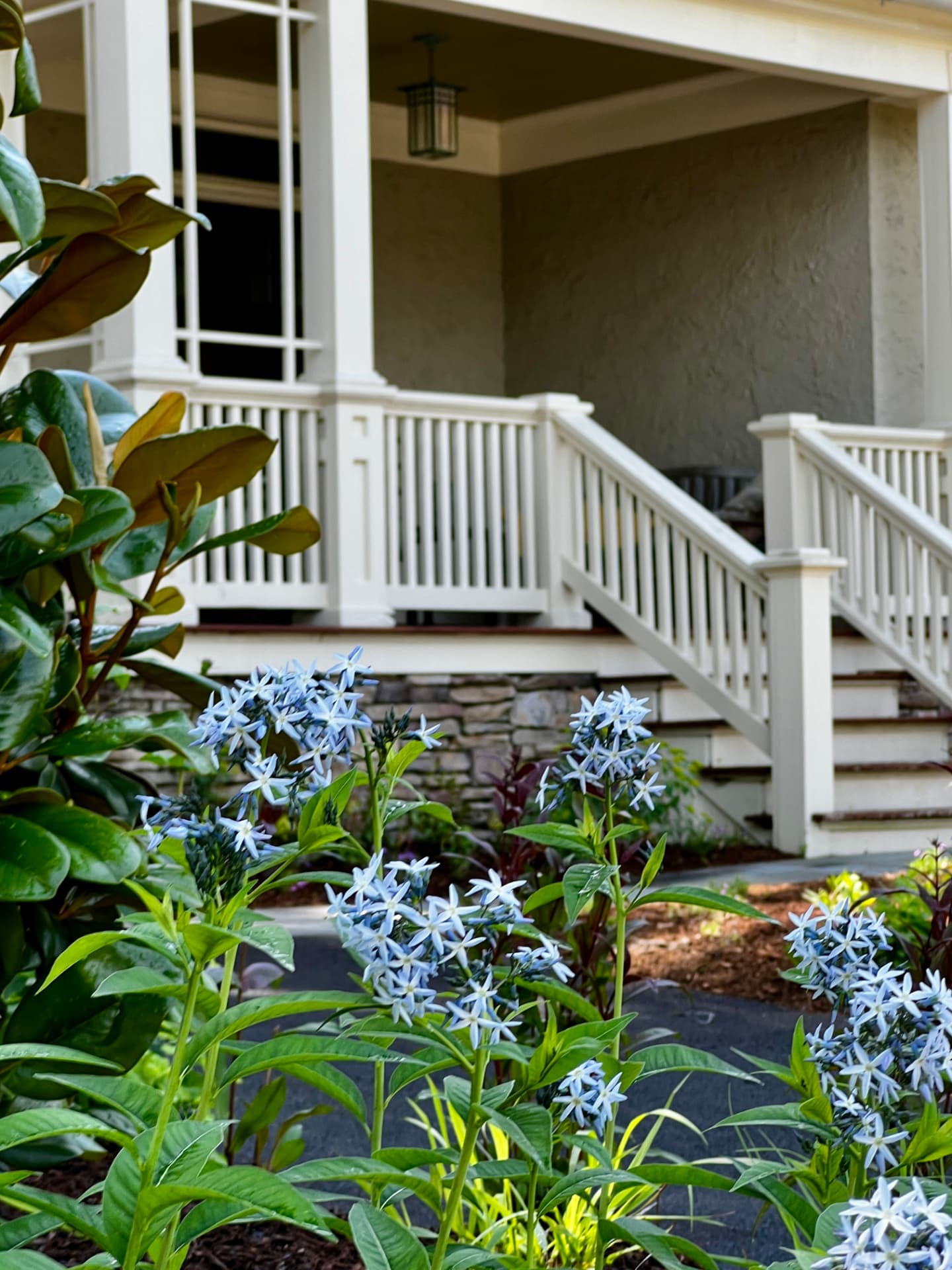 Close view of the Bryn Mawr front porch framed by blue star amsonia and lush green foliage