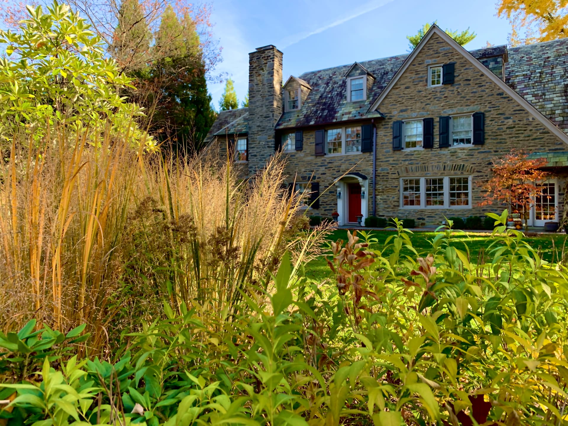 Stone façade with black shutters viewed through tall grasses and perennials